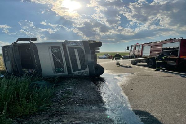 Tulcea. 100 de oi moarte după ce TIR-ul în care erau transportate s-a răsturnat