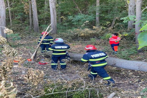 Tragedie într-o localitate din Tulcea: Un bărbat a murit după ce un copac a căzut peste el
