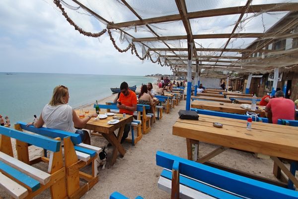 Rapanele pe cale să dispară din meniurile cherhanalelor