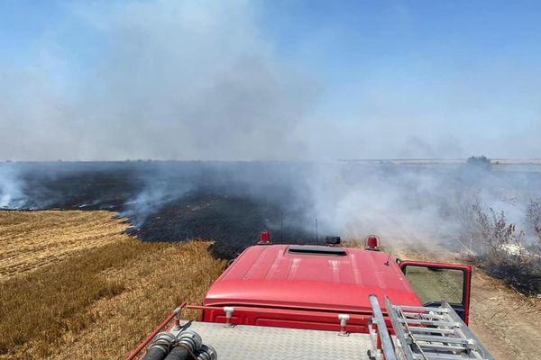 Pompierii militari în alertă. Incendiu de vegetație uscată