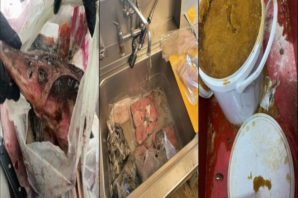 FOTO VIDEO Imagini revoltătoare din bucătăriile unor restaurante de pe litoral și din Delta Dunării