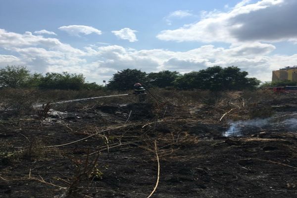 FOTO Incendiu de vegetație uscată în municipiul Tulcea