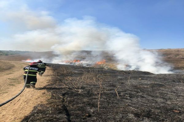 Incendiu de vegetație uscată în municipiul Tulcea