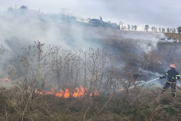 Incendiu violent în apropierea municipiului Tulcea