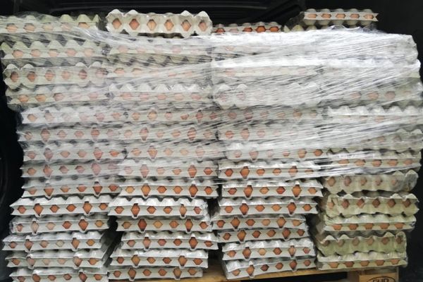 Sute de mii de ouă cu origine falsificată au fost vândute în România - De unde proveneau