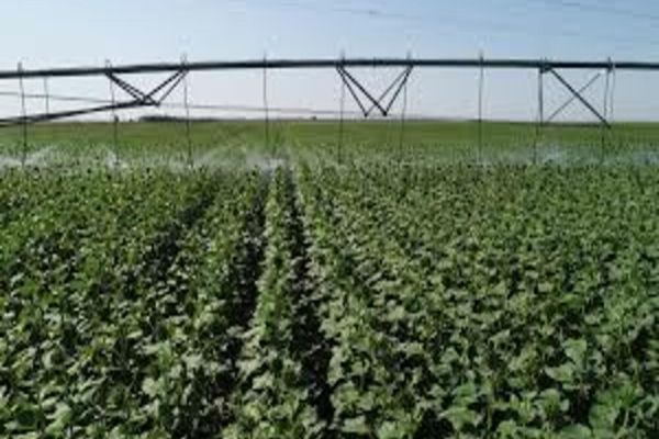 Fonduri de 105 milioane de euro pentru proiecte de infrastructură agricolă și silvică