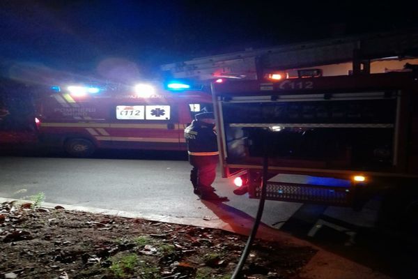 FOTO Incendiu violent în Carcaliu. De la ce au pornit flăcările