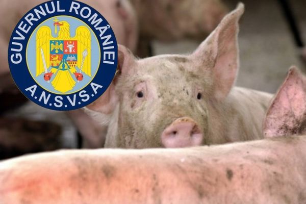 Controale ANSVSA specifice sărbătorilor de Crăciun