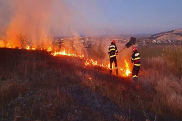 FOTO Incendiu violent în Tulcea. 10 hectare de vegetație uscată făcute scrum