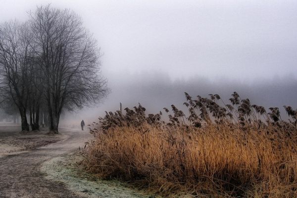Avertizare meteo: Cod galben de vânt puternic și ceață