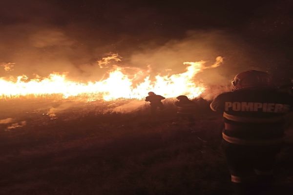 Incendiu violent la Peceneaga. Focul ar fi fost pus intenționat