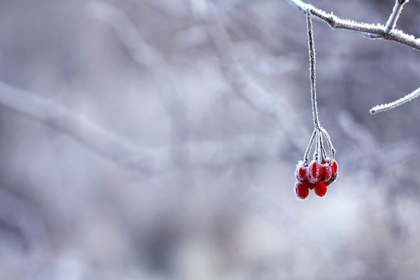 Vremea se răcește simțitor în toată țara - ninsori viscolite