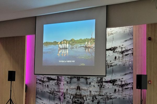 Documentarul „Wild Danube”, lansat la Tulcea