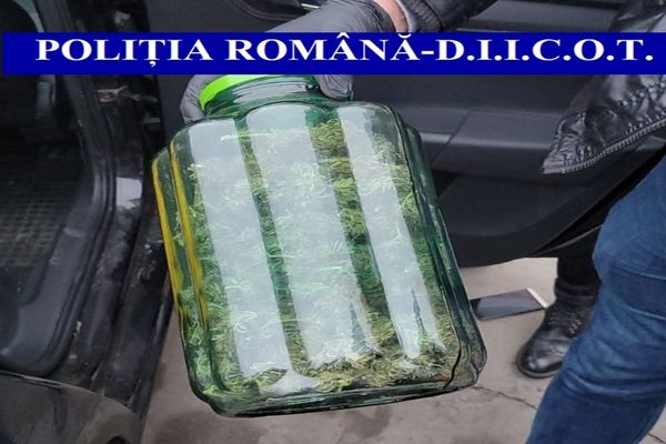 FOTO  Percheziții în Tulcea și Teleorman. Trei persoane arestate pentru trafic de droguri
