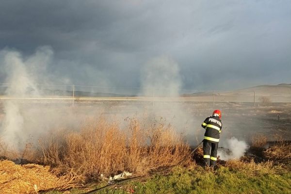 Incendiu puternic de vegetație uscată în apropiere de Traian