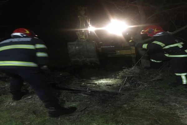 VIDEO Cal salvat de pompierii tulceni