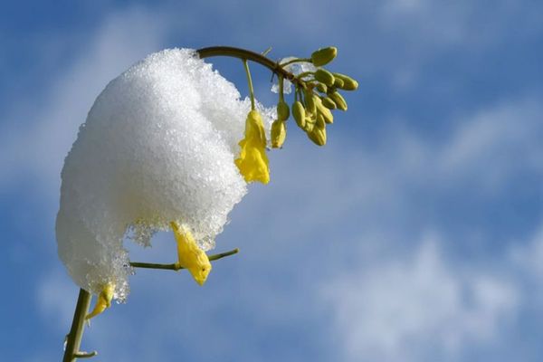 ANM anunță temperaturi anormale pentru luna ianuarie - Care e prognoza