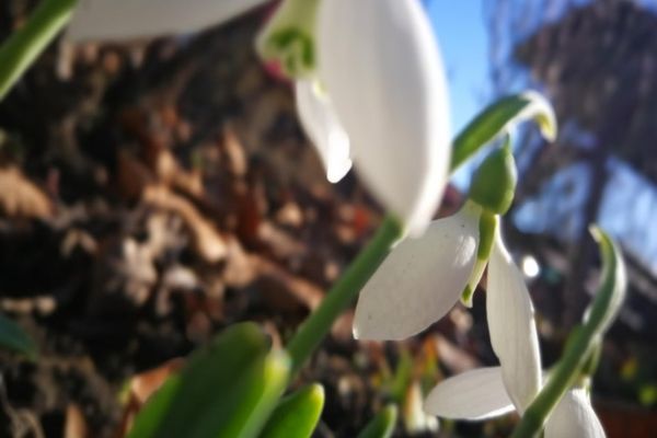 Vremea 17 februarie - Temperaturi șocante pentru luna februarie - Meteorologii fac anunțul momentului