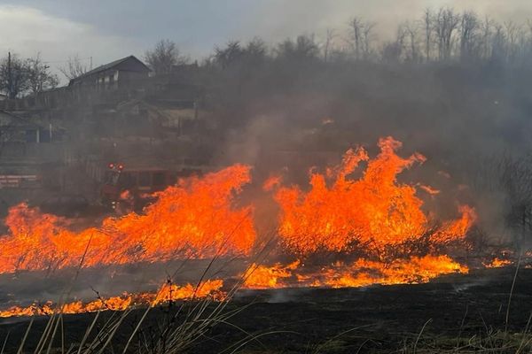 VIDEO Incendiu violent în zona Lacului Somova