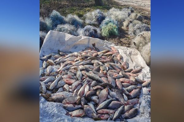 FOTO Braconieri "săltați" de pe Lacul Sinoe