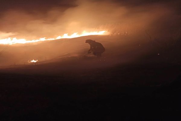 FOTO 15 hectare de vegetație uscată făcute scrum . De la ce au pornit flăcările