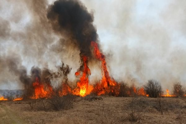 FOTO VIDEO Incendiu violent de vegetație uscată 