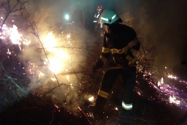 FOTO Incendiu violent la Jijila. Zeci de hectare de vegetație uscată făcute scrum 