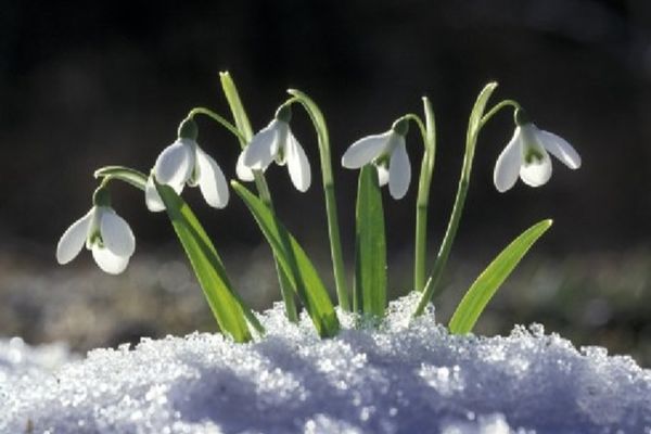 Prognoza meteo pentru luna martie 2022. Când cresc temperaturile