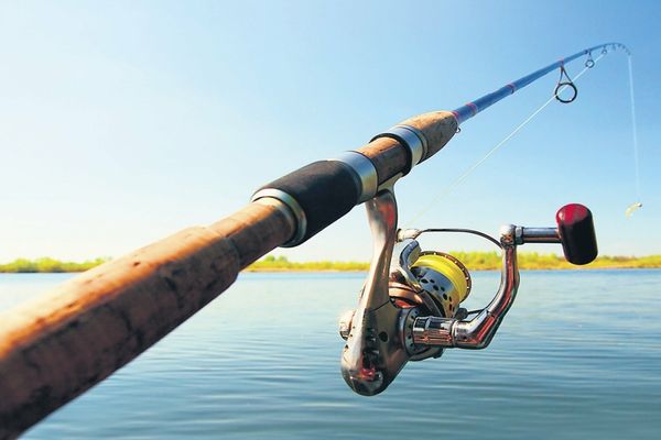 868 de sancţiuni contravenţionale și aproximativ o tonă de peşte confiscată