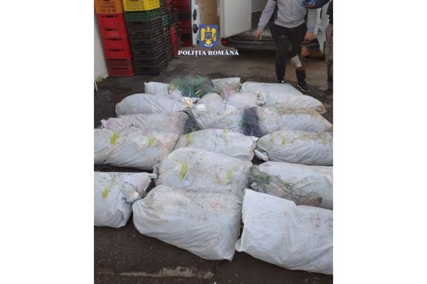 În perioada 24 – 25 martie a avut loc acțiunea „ACTION DAY – FISHERY”, pentru combaterea braconajului piscicol