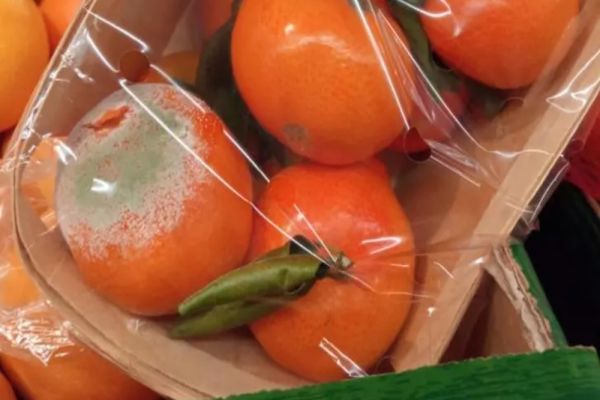 FOTO | ANPC, amenzi uriașe pentru marile magazine din România. Zeci de unități, închise temporar – Val de nereguli