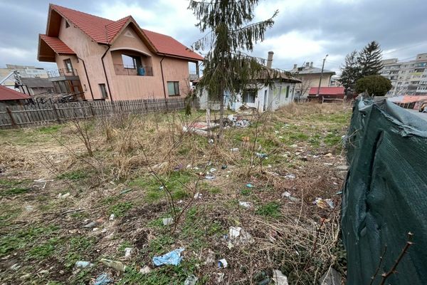 Continuă igienizarea terenurilor neîngrijite