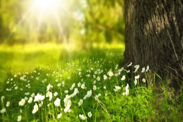 Vremea 6 aprilie - Se încălzește ușor în multe zone din țară