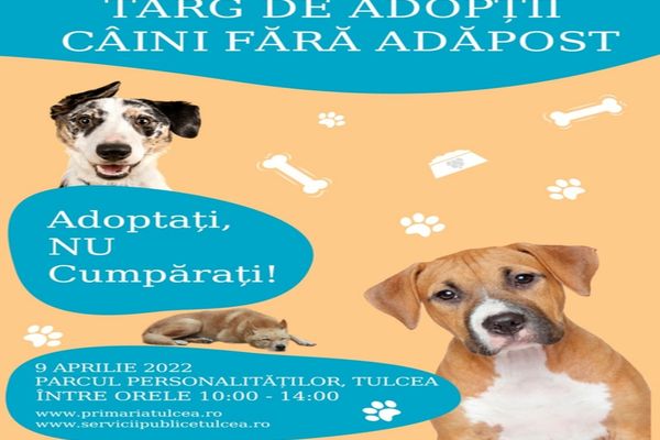 Târg de Adopții câini fără adăpost