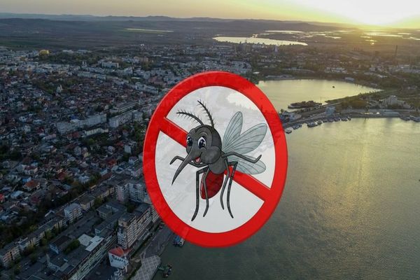 A început dezinsecția în municipiul Tulcea