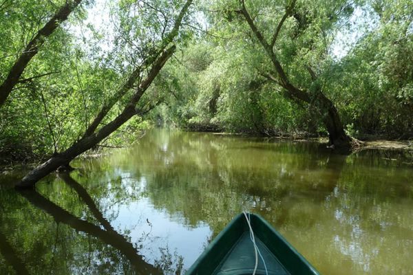 Prohibiție generală în Delta Dunării