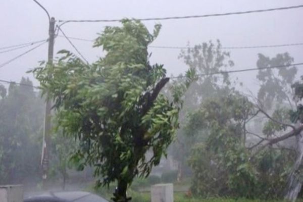 Cod galben de vânt puternic în Dobrogea