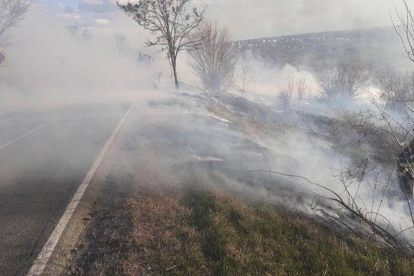 Incendiu violent de vegetație. Pericol de accidente între Jijila și Măcin