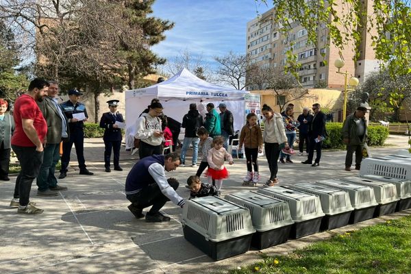 FOTO 31 de câini și-au găsit o casă prin târgul de adopții