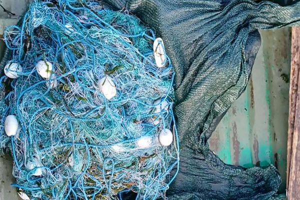 FOTO Braconaj piscicol în zona Rezervației Biosferei Delta Dunării