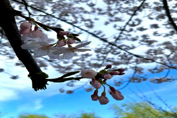 Vremea 9 aprilie. Temperaturi ridicate în toată țara - Unde revin ploile