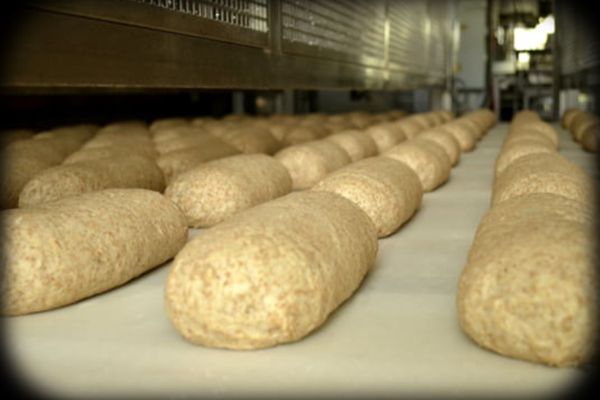 Val de SCUMPIRI, în România: prețurile la făină și pâine CRESC din nou. Experții fac previziuni SUMBRE