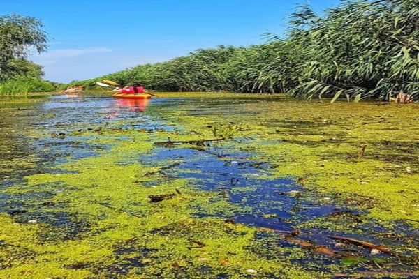 Lucrări de decolmatare în Delta Dunării
