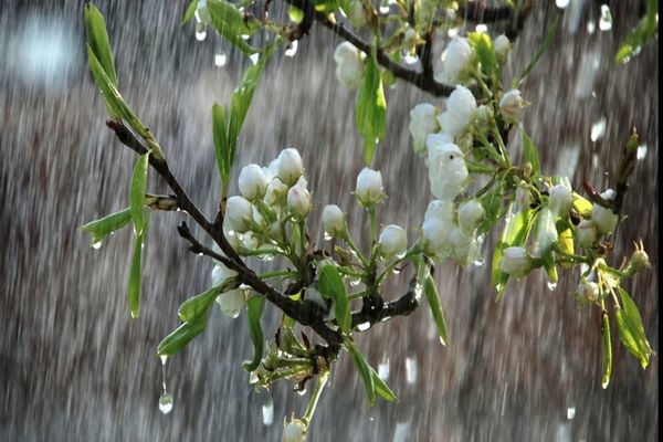 Vremea 3 aprilie - Temperaturi scăzute - Când o să se mai încălzească