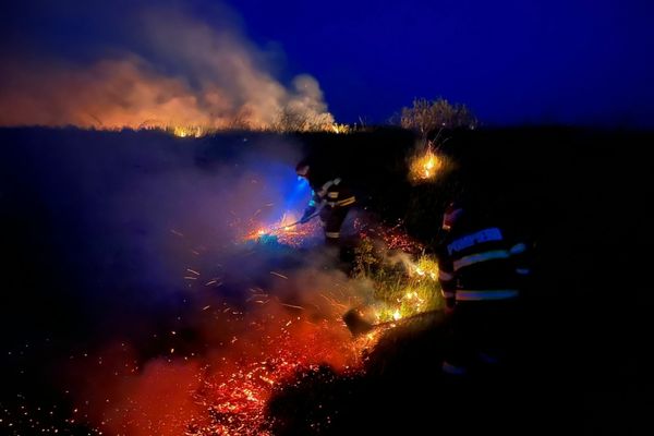 FOTO VIDEO Incendiu violent în apropierea viilor de lângă municipiul Tulcea