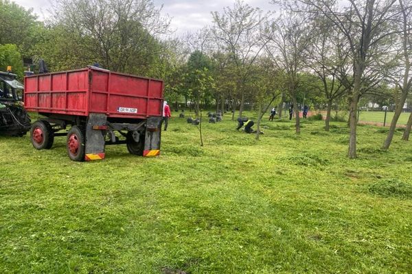 Primăriile pot angaja zilieri pentru îngrijirea parcurilor şi grădinilor 