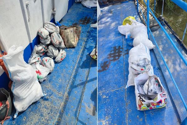 FOTO Sute de kilograme de pește fără acte descoperite de polițiștii de frontieră în Delta Dunării