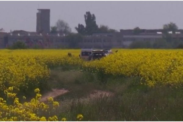 Rămăşiţe umane carbonizate, găsite în portbagajul unei maşini incendiate pe câmp