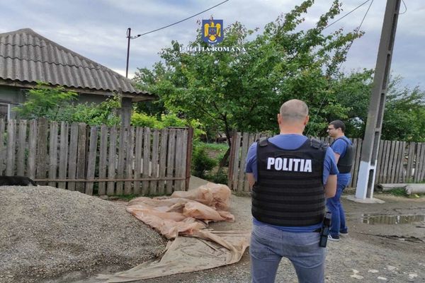 FOTO. Percheziții de amploare Hoți săltați de mascați și duși la audieri