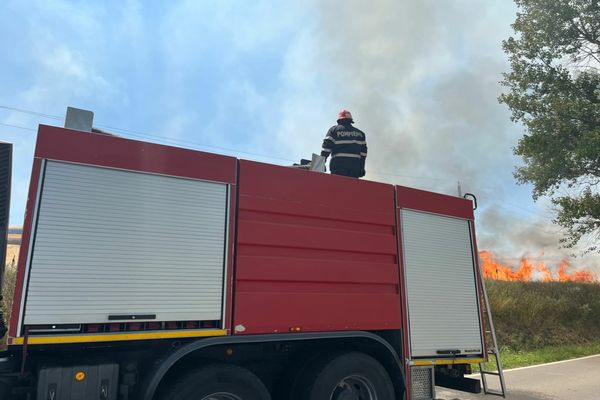 VIDEO 30 de ha de grâu și 8 ha de vegetație uscată făcute scrum în Tulcea